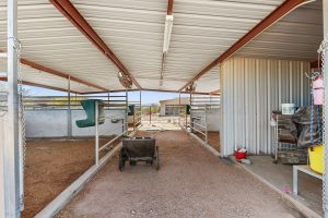 Outdoor equestrian amenities at North Scottsdale horse property for sale