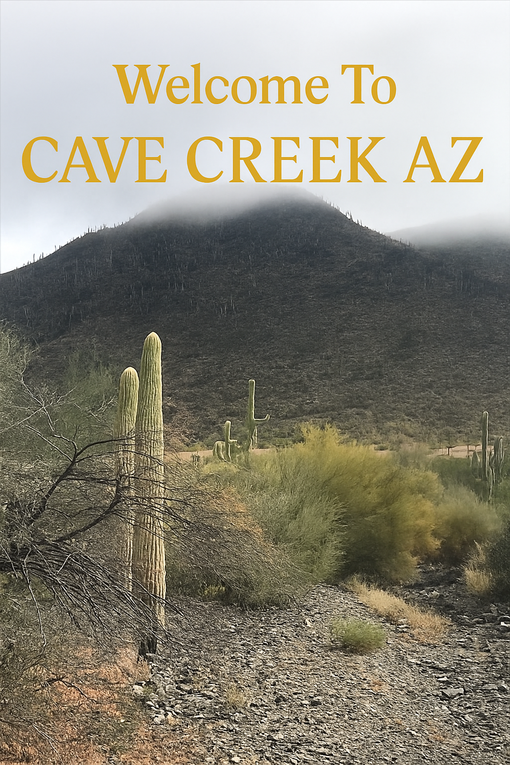 Morning fog after rain covering the west side of Black Mountain in Cave Creek "Proper", Arizona, with saguaros and desert vegetation in the foreground.